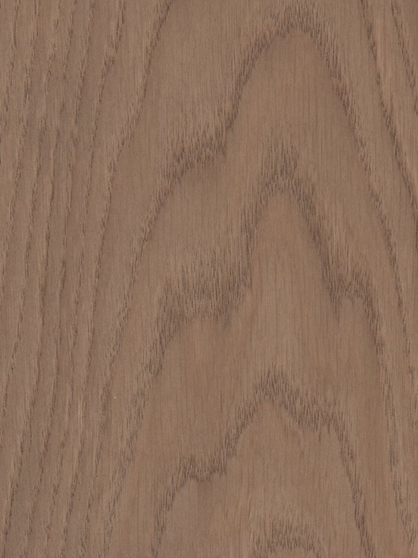 SD_OAK SD1