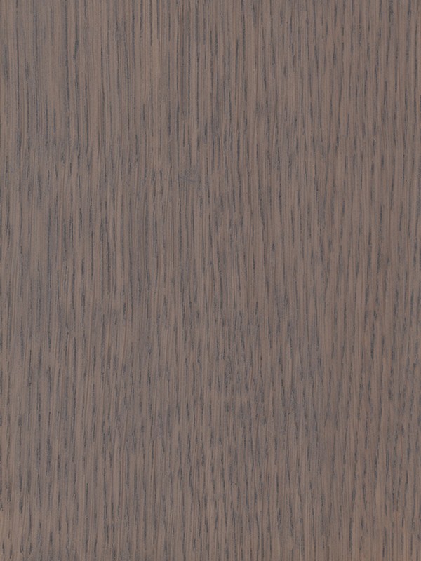 SD_OAK SD3