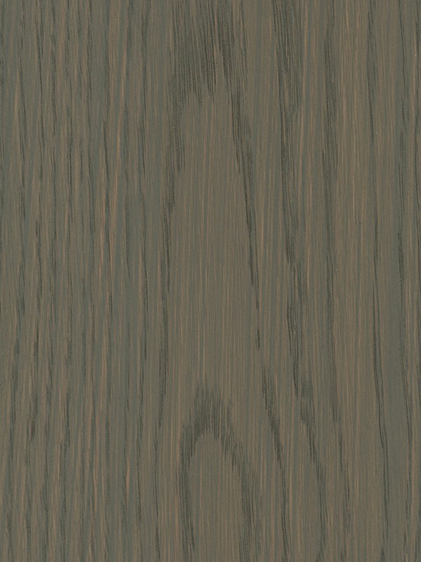 SD_OAK SD4