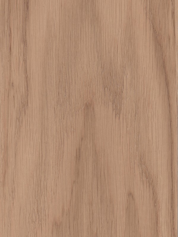 SD_OAK SD10
