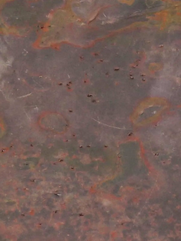 Stone Multi-Colour